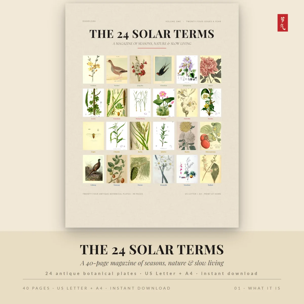 Cover of The 24 Solar Terms magazine with a grid of 24 antique botanical and bird plates