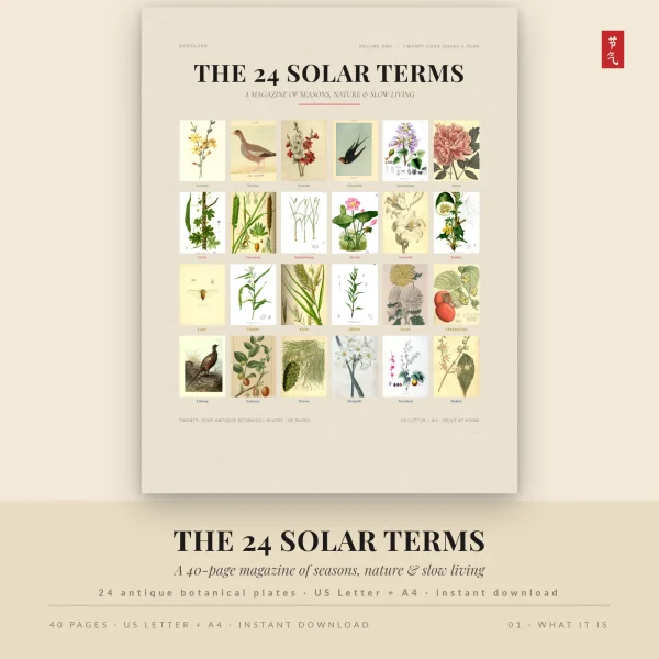 Cover of The 24 Solar Terms magazine with a grid of 24 antique botanical and bird plates