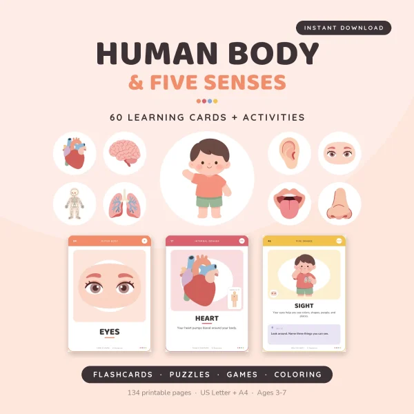 Human Body and Five Senses cover with a waving cartoon boy, organ and sense icons, and eyes, heart and sight cards