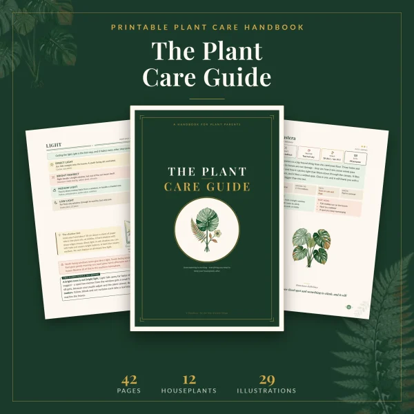 Dark green cover of The Plant Care Guide with a monstera and fern roundel, fanned over the light page and the monstera page