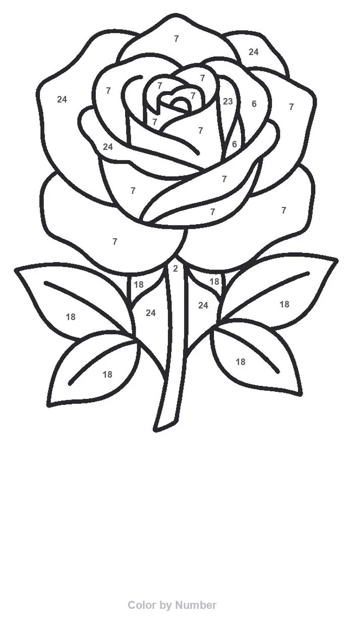 A Floral Color by Number page: a single rose in thick black outline with a number in every petal and leaf, mostly 7, with 6, 23 and 24 on some petals and 18 on the leaves