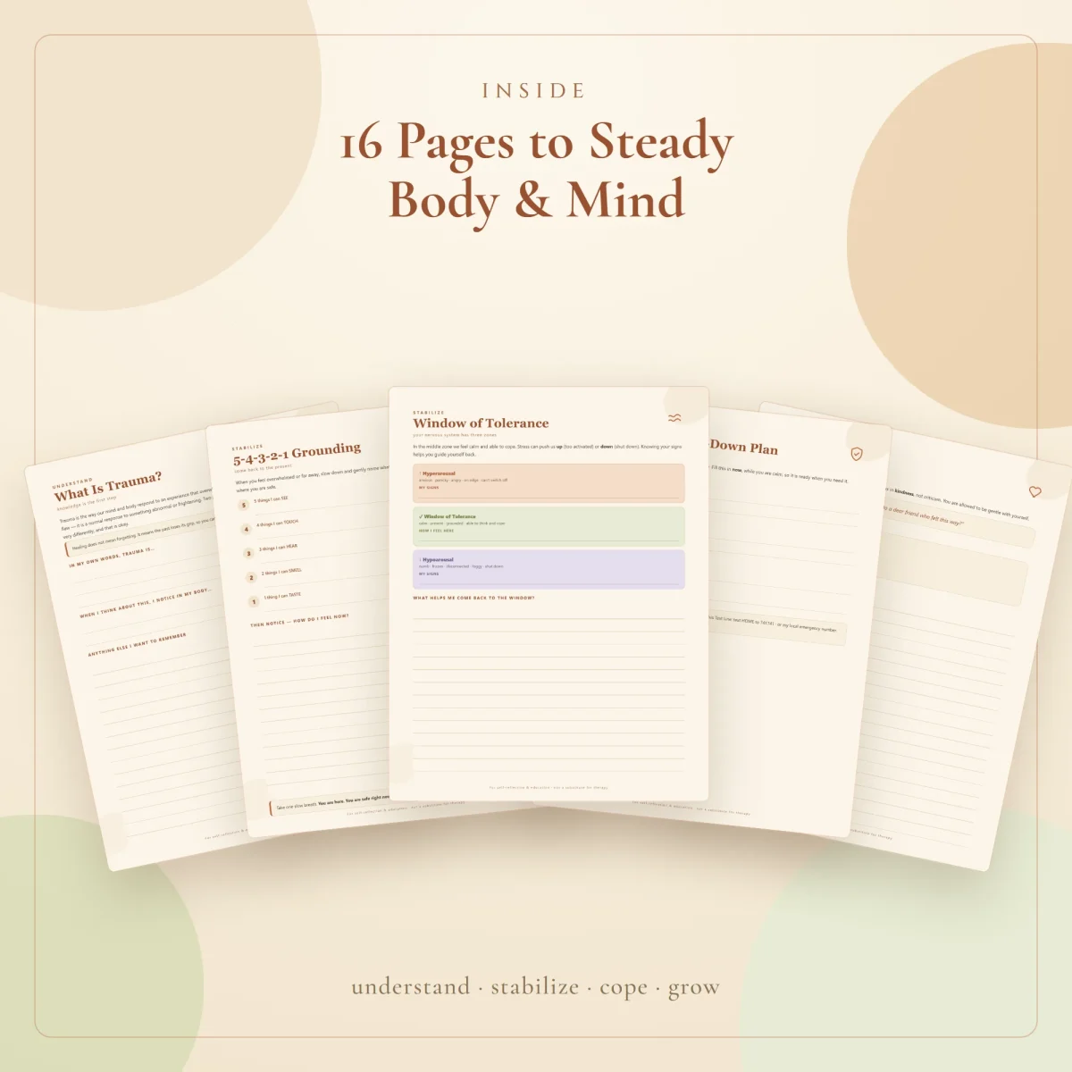 Five workbook pages fanned out, with the three-zone window of tolerance page in the middle