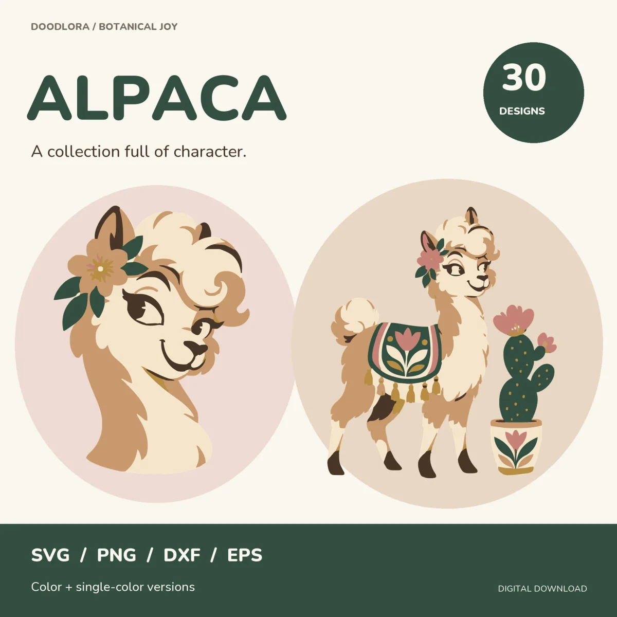 A cream and camel alpaca portrait with a flower behind its ear next to a full-body alpaca in a tasseled blanket standing by a potted flowering cactus