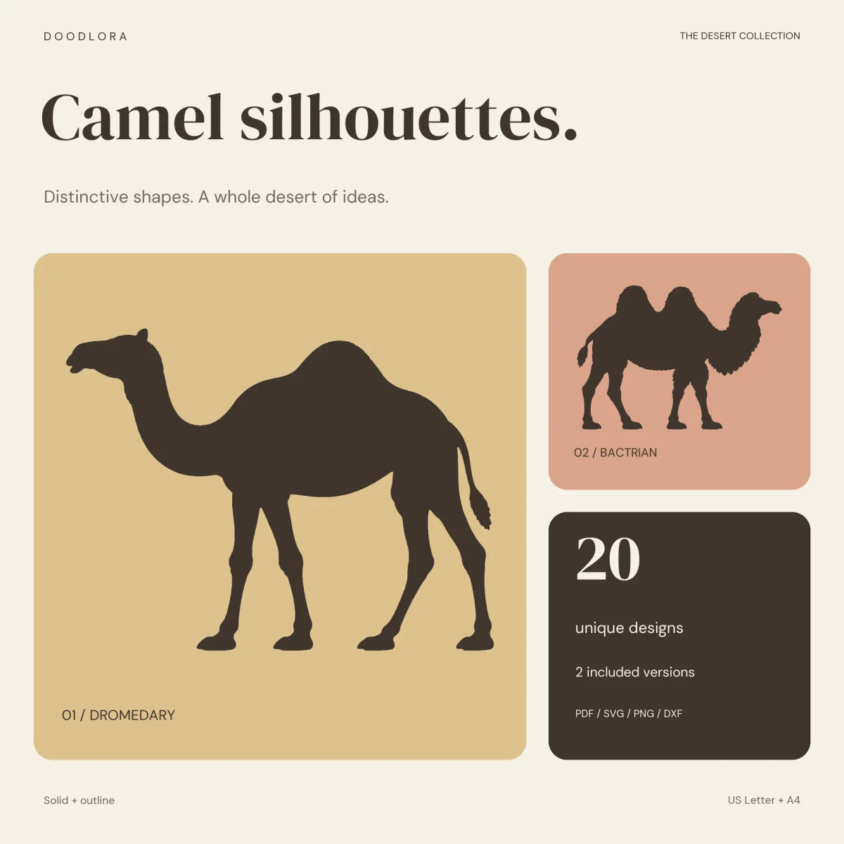 A standing dromedary and a walking Bactrian camel in dark brown on sand and clay panels, with a note of 20 designs in two versions as PDF, SVG, PNG and DXF