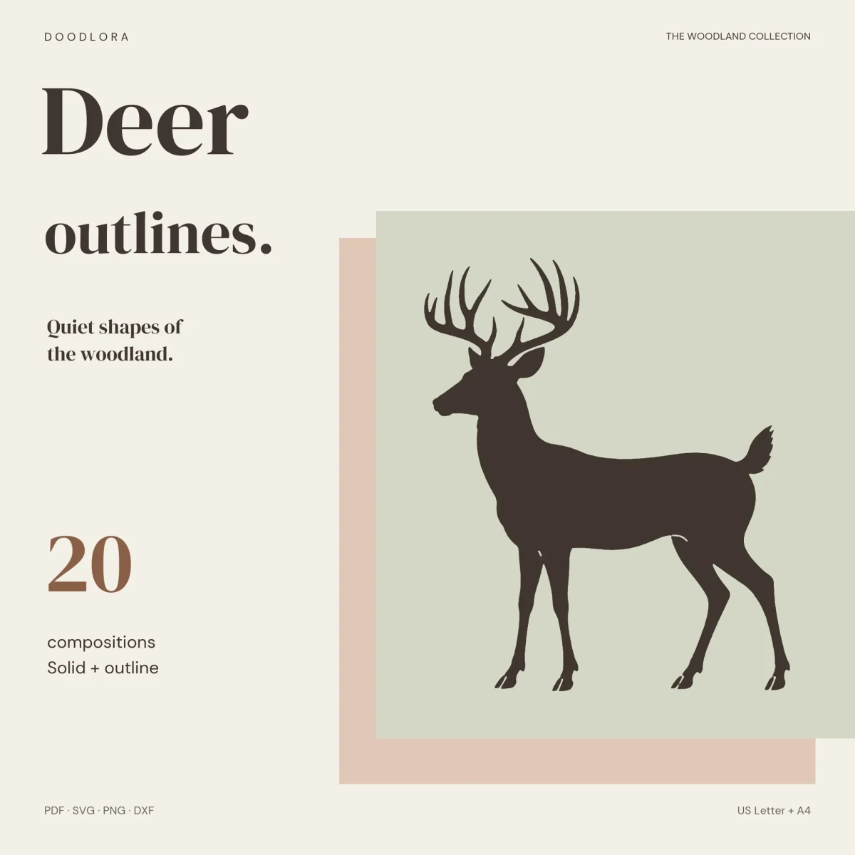 A dark brown silhouette of a standing stag with tall branching antlers on a sage green square, beside the words Deer outlines