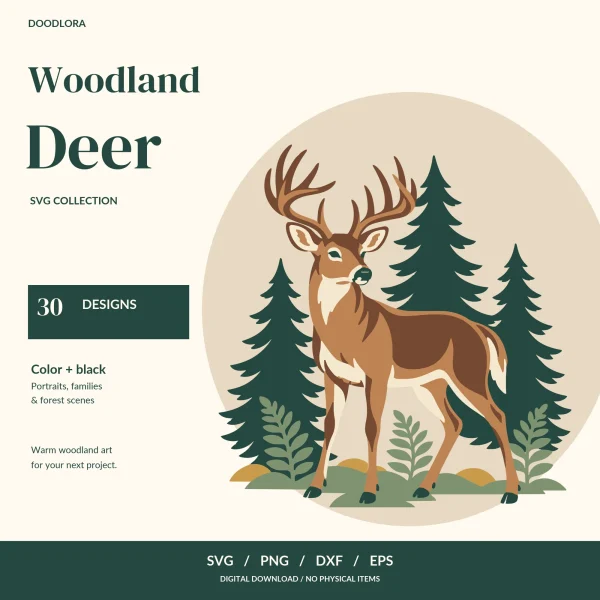 A buck with a wide rack of antlers standing among dark green pine trees and ferns inside a pale circle, next to the title Woodland Deer