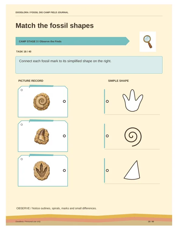A matching page with a coiled shell, a pointed tooth and a three-toed footprint on the left and a footprint shape, a spiral and a triangle on the right
