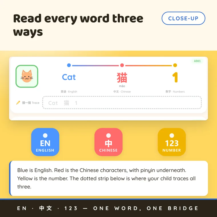 One workbook entry with a cat picture, the word Cat in blue, 猫 in red with pinyin, a yellow 1 and a dotted tracing strip below