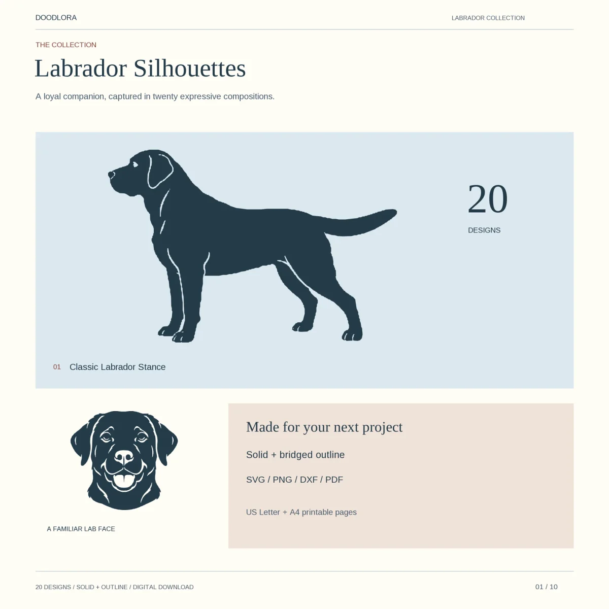 Dark Labrador silhouette standing side-on next to the number 20, with a smiling Lab face below and the words solid plus bridged outline
