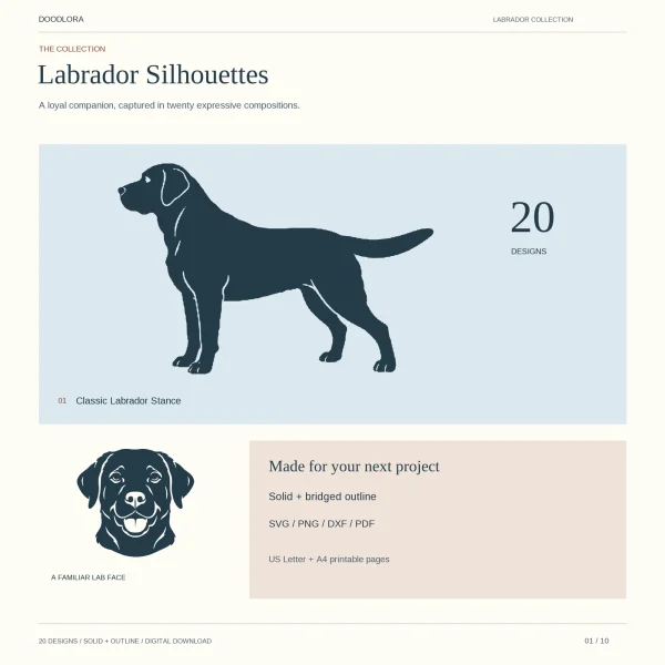 Dark Labrador silhouette standing side-on next to the number 20, with a smiling Lab face below and the words solid plus bridged outline