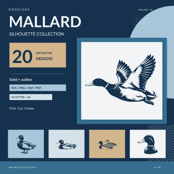 A navy mallard drake in flight with raised wings and a white neck ring, framed under the title Mallard Silhouette Collection, with four smaller mallards below