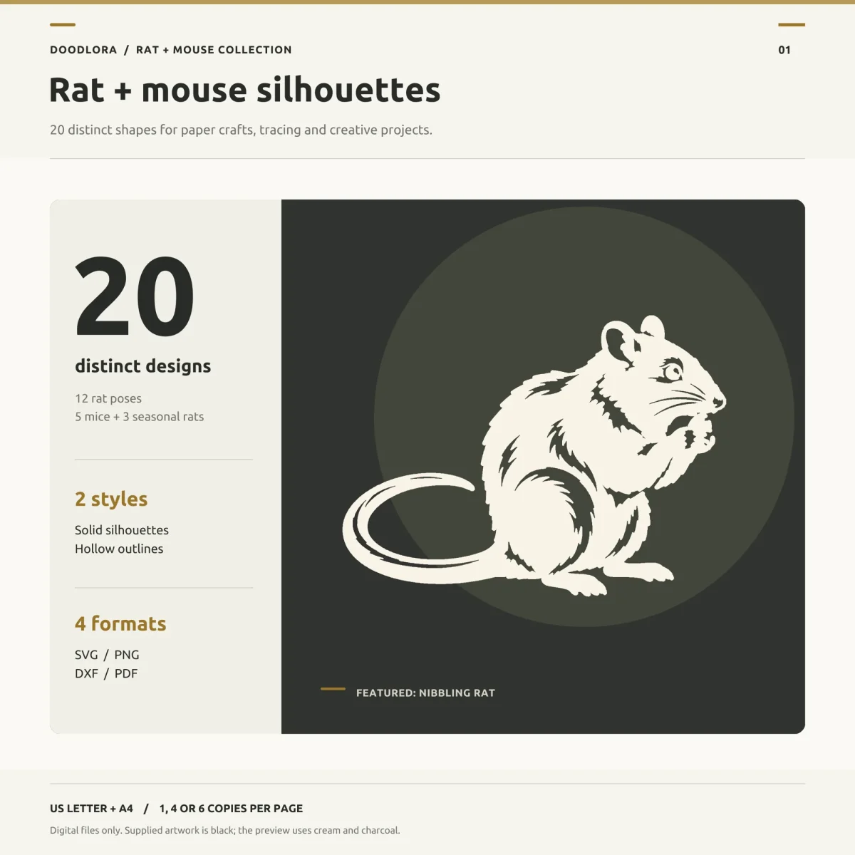 A cream silhouette of a rat sitting up and nibbling, its long tail curled around its feet, on a charcoal panel beside the words 20 distinct designs and 4 formats
