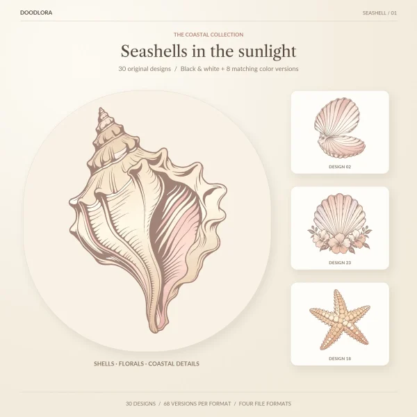 A large conch shell shaded in ivory, peach and pink, beside smaller color designs of an open scallop, a scallop over hibiscus flowers and a knobby sea star