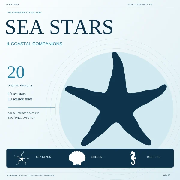 A large navy five-armed sea star on a pale blue circle under the title Sea Stars and coastal companions, with a brittle star, scallop shell and seahorse in a band below