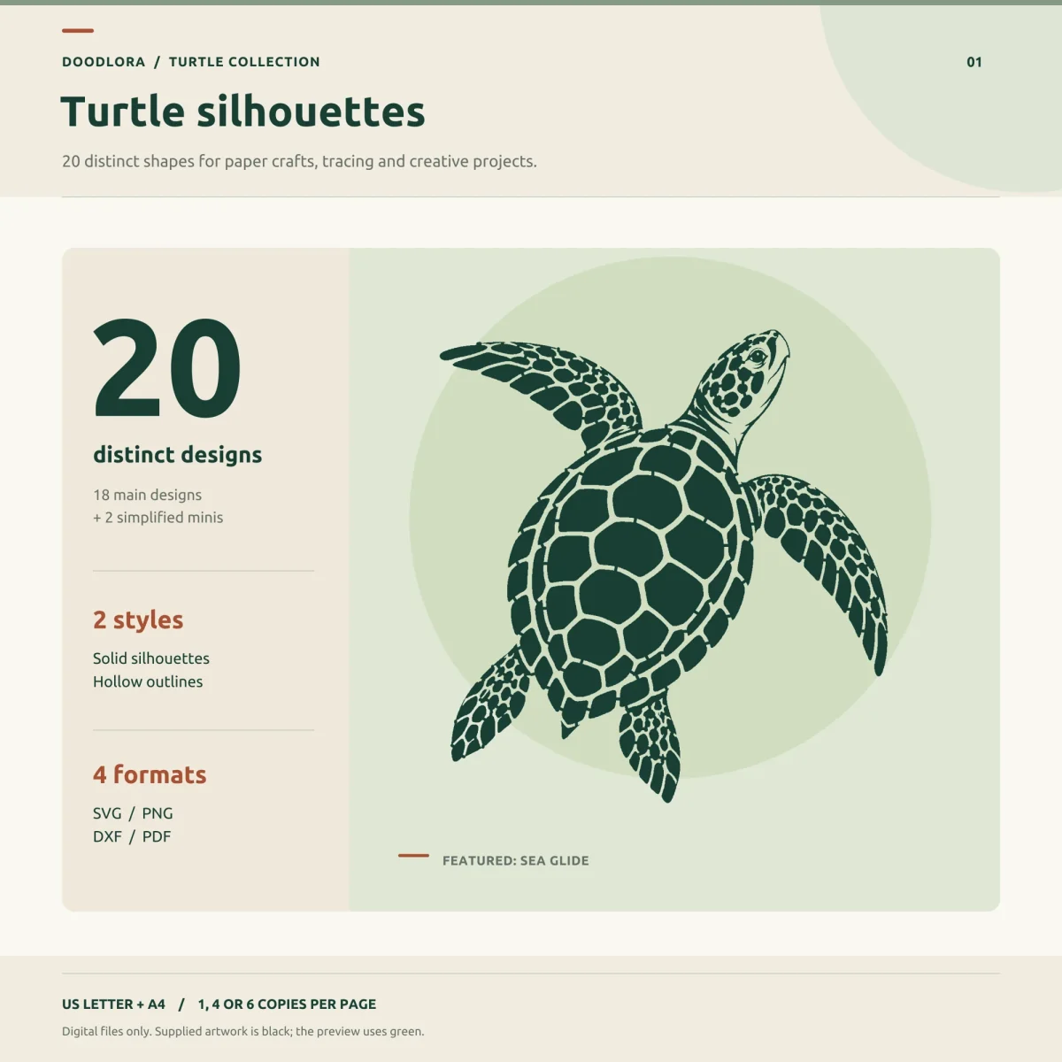 A sea turtle seen from above with its shell plates and flipper scales showing as pale gaps, shown in dark green beside the words 20 distinct designs, 2 styles and 4 formats