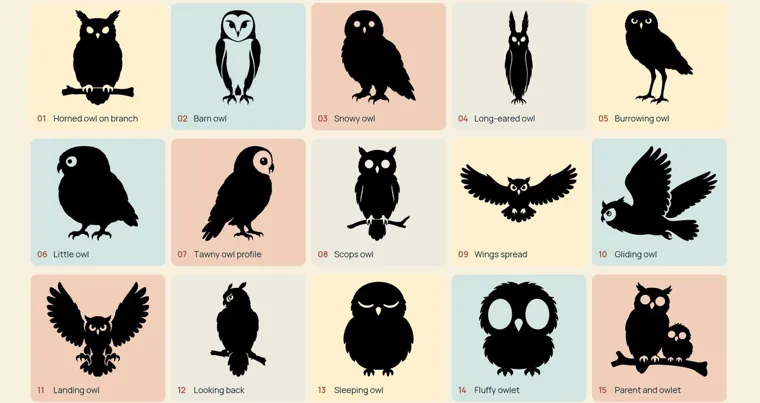 Fifteen black owl silhouettes on pastel tiles, each numbered and named, from a horned owl on a branch and a barn owl to a sleeping owl and a parent with an owlet
