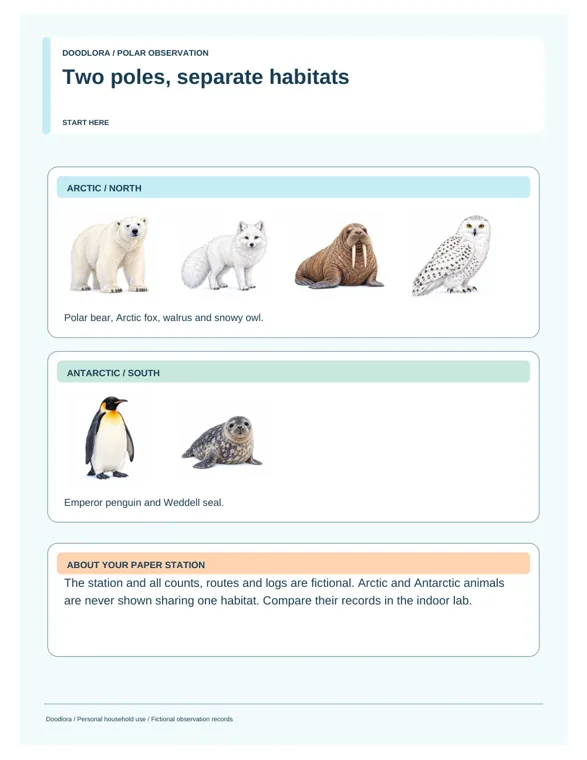 A printed page titled Two poles, separate habitats, with a polar bear, Arctic fox, walrus and snowy owl under Arctic North and an emperor penguin and Weddell seal under Antarctic South