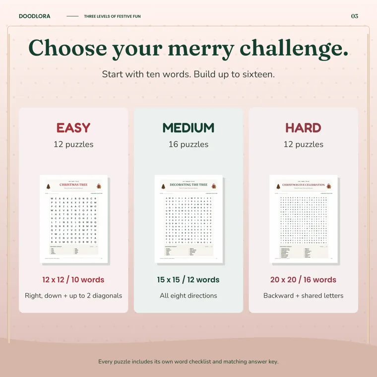 Three Christmas word search levels side by side: Easy 12 x 12 with 10 words, Medium 15 x 15 with 12 words and Hard 20 x 20 with 16 words
